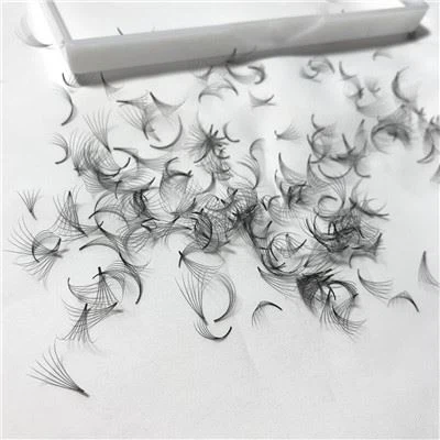 Oldindan tayyorlangan bo'sh muxlislar 300 ta muxlislar